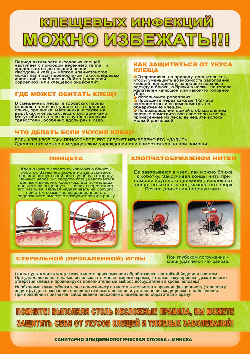 Клещевых инфекций можно избежать! - Гигиена - 17 городская детская  клиническая поликлиника