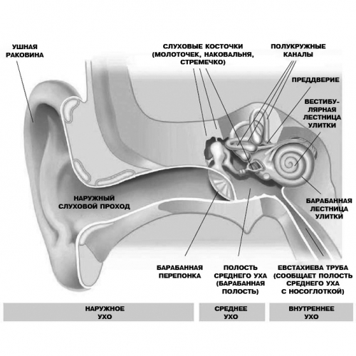 Боль в ухе у ребенка и взрослого - причины и лечение боли в ушах